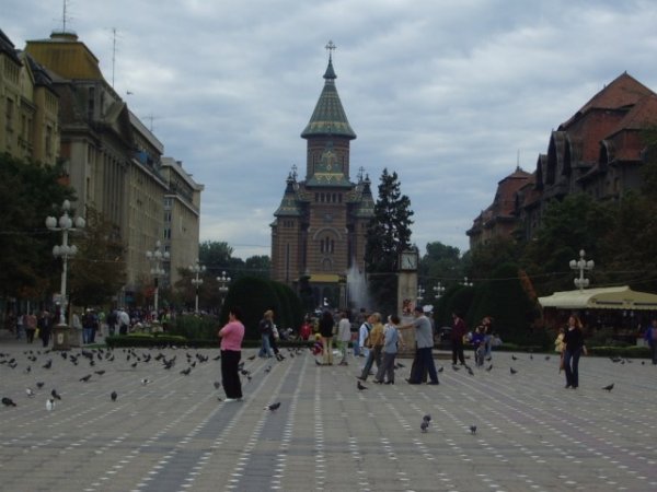 Timisoara