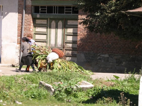 Dames au travail